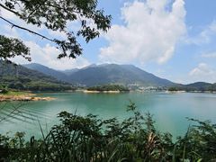 -广州市流溪河国家森林公园
