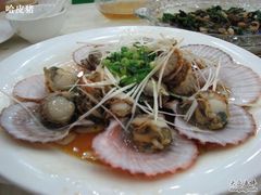 扇贝-海岛渔村大酒店(云霄路店)