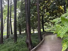 -黄兴公园