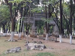 -昆明动物园