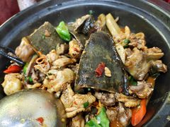 -聚味罗记大排檔·烧烤·鲜鱼杂·甲鱼煲(科学馆店)