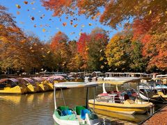 -上海海湾国家森林公园