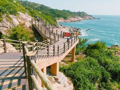 -广东惠东海龟国家级自然保护区