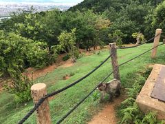 -岚山猴子公园