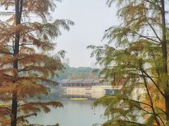 -重庆彩云湖湿地公园