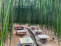 -竹泉村旅游度假区