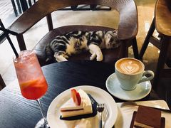 -咖法森林·咖啡  酒吧(天河店)