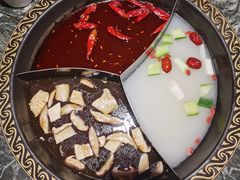 -潮辣重庆火锅(二七万达店)
