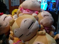 -超级物种(省府店)