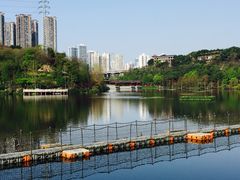 -重庆彩云湖湿地公园