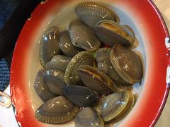 -鲜入围煮花胶鸡海鲜火锅