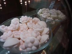 -猫咪博物馆(顶澳仔猫街店)