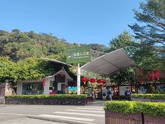 -广州白江湖森林公园