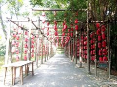 android_upload_pic-茂德公草堂