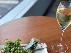 -米兰马尔彭萨国际机场