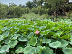 -承德避暑山庄景区