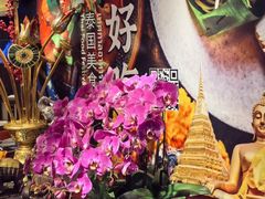 -北京朝阳悠唐皇冠假日酒店