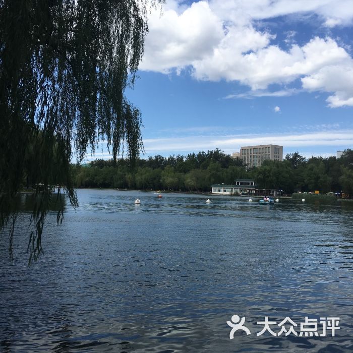 青年湖公園-圖片-北京周邊遊-大眾點評網