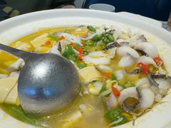 招牌青花椒鱼-朝花里川菜小馆朝(益田假日里店)