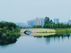 -眉山湿地公园(东坡区)