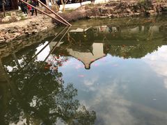 -上海醉白池公园