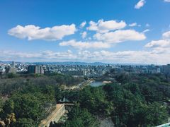 -名古屋城