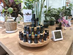 点击看大图 -dōTERRA多特瑞精油生活馆