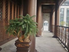 -杭州学军中学(西溪校区)