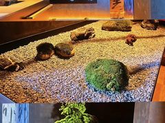 -双海潮·海鲜融合菜(如是海店)