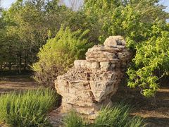 -大港湿地公园