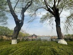 -济南大明湖景区