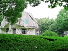 -东方绿舟景区