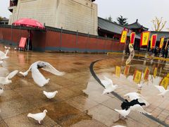 -大慈恩寺(大雁塔)
