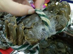 大闸蟹-京港生鲜(四道口店)