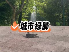 -九龙公园