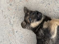 -奥斯卡升龙国际影城(RealD Cinema)