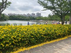 -新江湾城公园