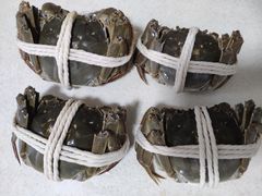 -阳澄湖大闸蟹·琼灵阁牌品牌连锁(吴中总店)