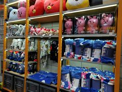 -line friends(明洞旗舰店)