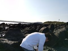 -涉地可支