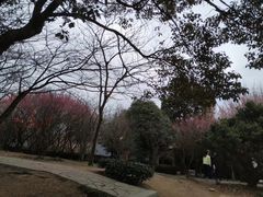 -穹窿山景区