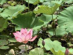 -时间仓(月湖公园店)