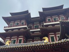 -新加坡佛牙寺龙华院