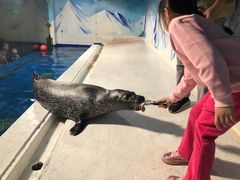 -成都浩海立方海洋公园