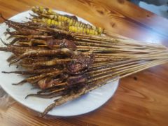 -十里铺铁板鱿鱼