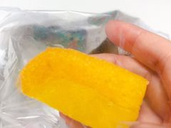 -金珠肉粽