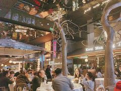 -桂满陇·海市蜃楼·黑金(国金店)