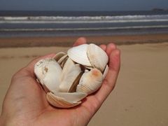 iphone_upload_pic-嵊泗基湖沙滩