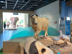 -陕西自然博物馆