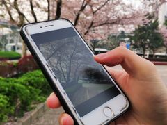 -上海南浦大桥长途旅游客运站